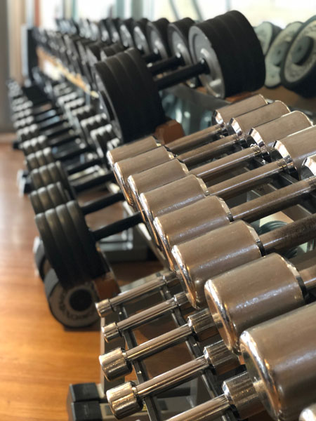 ego anima e corpo rosignano