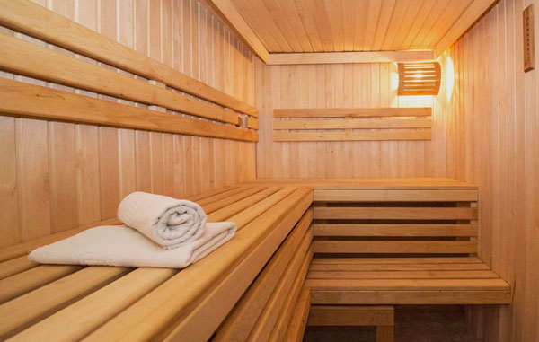 ego anima e corpo  sauna